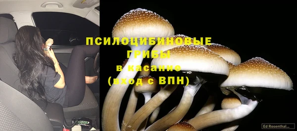бутират Ладушкин