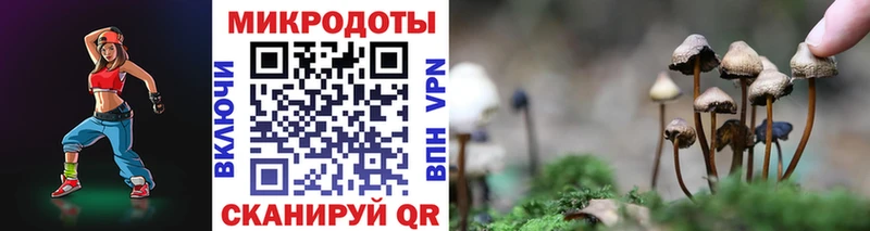 Купить где  Александровское  Псилоцибиновые грибы ЛСД 